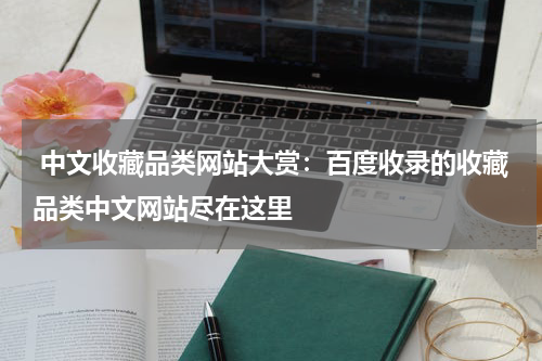  中文收藏品类网站大赏：百度收录的收藏品类中文网站尽在这里