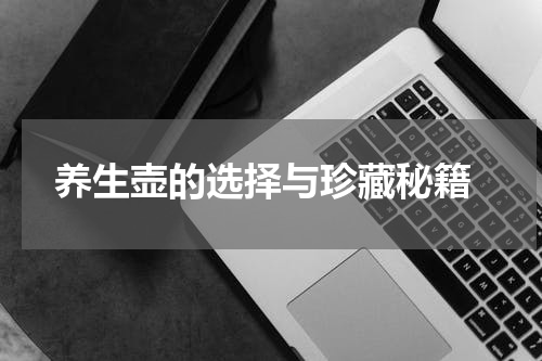  养生壶的选择与珍藏秘籍
