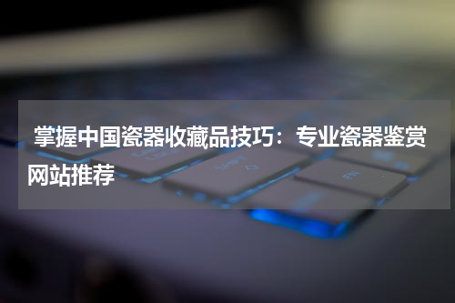  掌握中国瓷器收藏品技巧：专业瓷器鉴赏网站推荐