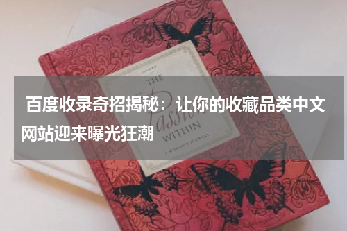 百度收录奇招揭秘：让你的收藏品类中文网站迎来曝光狂潮