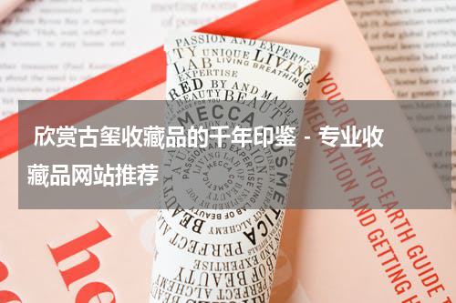  欣赏古玺收藏品的千年印鉴 - 专业收藏品网站推荐