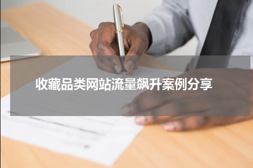  收藏品类网站流量飙升案例分享