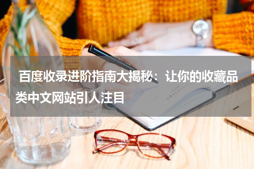  百度收录进阶指南大揭秘：让你的收藏品类中文网站引人注目