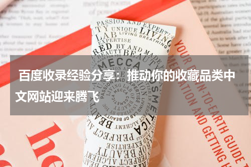 百度收录经验分享：推动你的收藏品类中文网站迎来腾飞