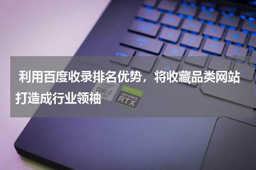 利用百度收录排名优势，将收藏品类网站打造成行业领袖