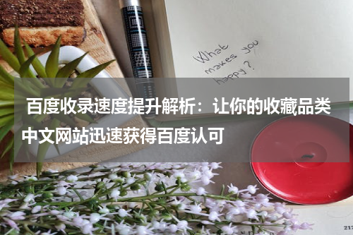  百度收录速度提升解析：让你的收藏品类中文网站迅速获得百度认可