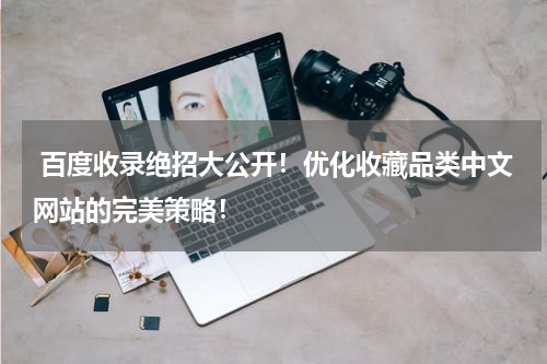  百度收录绝招大公开！优化收藏品类中文网站的完美策略！