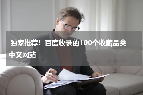  独家推荐！百度收录的100个收藏品类中文网站