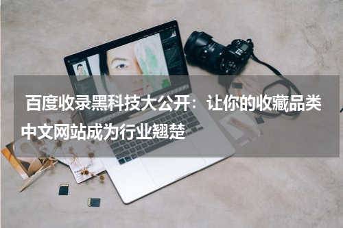 百度收录黑科技大公开：让你的收藏品类中文网站成为行业翘楚