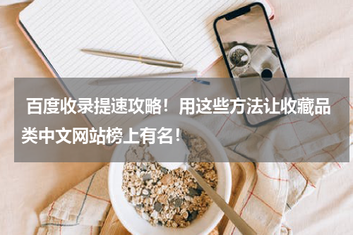  百度收录提速攻略！用这些方法让收藏品类中文网站榜上有名！