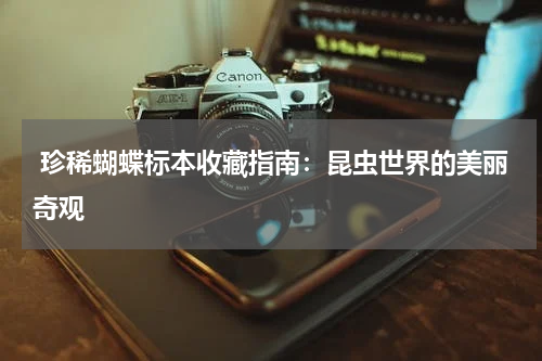  珍稀蝴蝶标本收藏指南：昆虫世界的美丽奇观