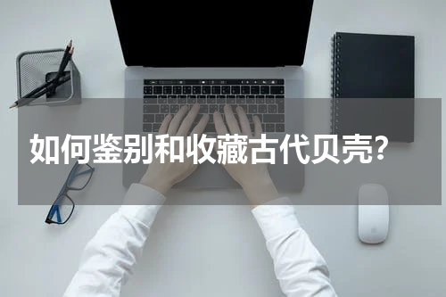  如何鉴别和收藏古代贝壳？