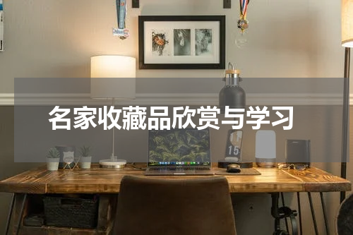  名家收藏品欣赏与学习