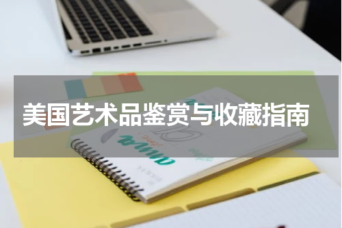  美国艺术品鉴赏与收藏指南