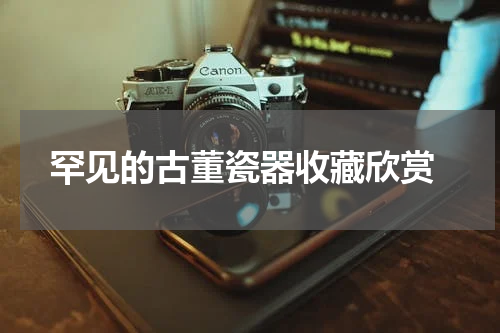  罕见的古董瓷器收藏欣赏