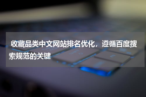  收藏品类中文网站排名优化，遵循百度搜索规范的关键