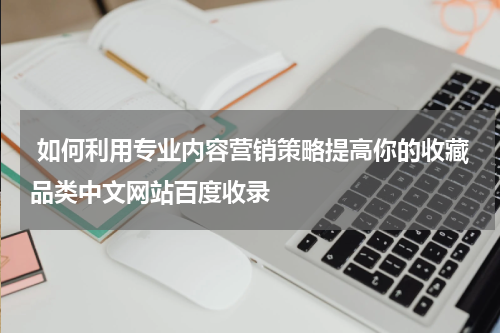  如何利用专业内容营销策略提高你的收藏品类中文网站百度收录