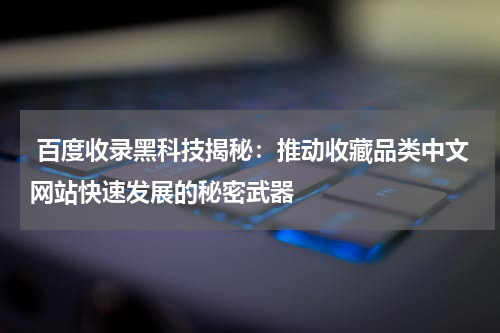  百度收录黑科技揭秘：推动收藏品类中文网站快速发展的秘密武器