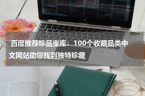  百度推荐珍品宝库：100个收藏品类中文网站助您找到独特珍藏