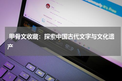  甲骨文收藏：探索中国古代文字与文化遗产