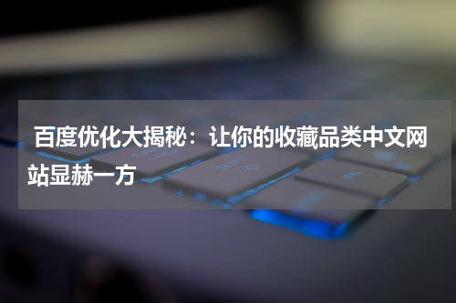  百度优化大揭秘：让你的收藏品类中文网站显赫一方