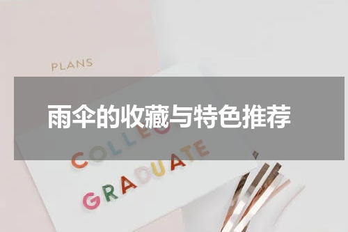  雨伞的收藏与特色推荐