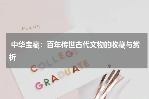  中华宝藏：百年传世古代文物的收藏与赏析