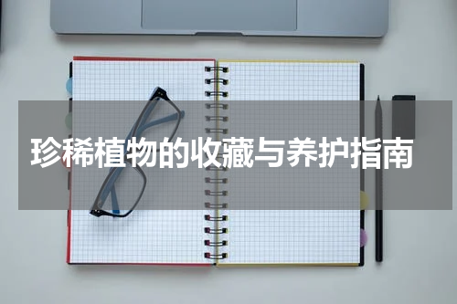  珍稀植物的收藏与养护指南