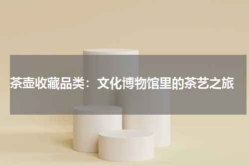 茶壶收藏品类：文化博物馆里的茶艺之旅