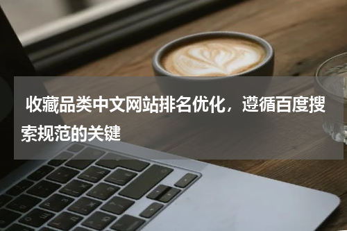  收藏品类中文网站排名优化，遵循百度搜索规范的关键