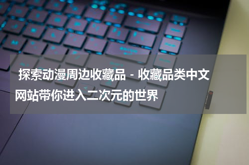  探索动漫周边收藏品 - 收藏品类中文网站带你进入二次元的世界