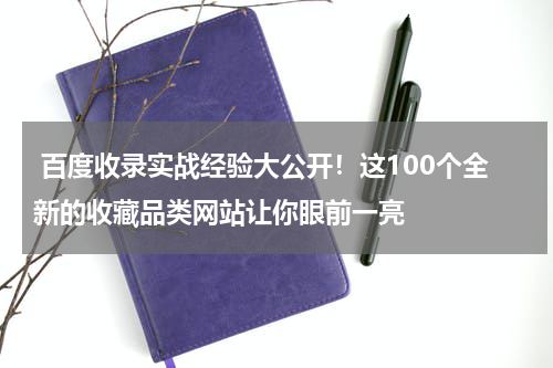 百度收录实战经验大公开！这100个全新的收藏品类网站让你眼前一亮
