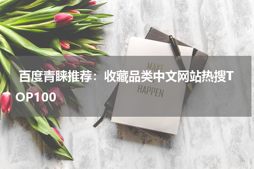  百度青睐推荐：收藏品类中文网站热搜TOP100