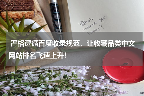 严格遵循百度收录规范，让收藏品类中文网站排名飞速上升！