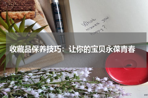  收藏品保养技巧：让你的宝贝永葆青春