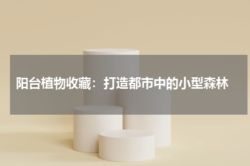  阳台植物收藏：打造都市中的小型森林