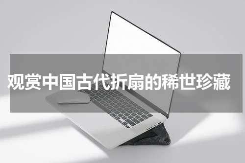  观赏中国古代折扇的稀世珍藏