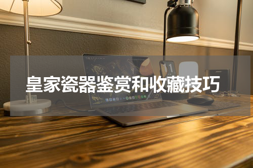 皇家瓷器鉴赏和收藏技巧