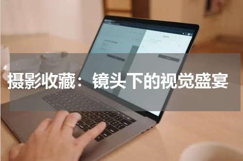  摄影收藏：镜头下的视觉盛宴