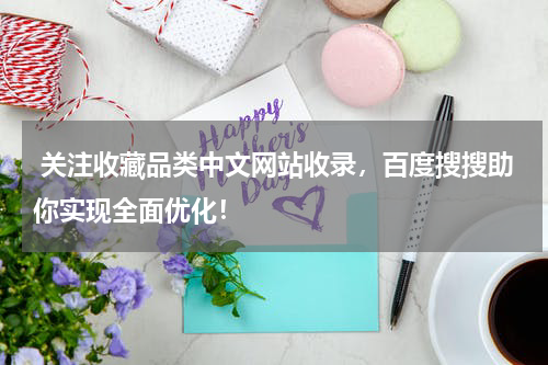  关注收藏品类中文网站收录，百度搜搜助你实现全面优化！