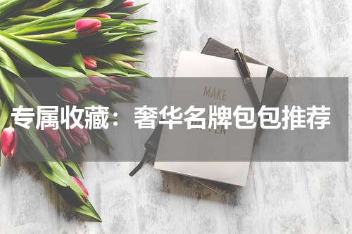  专属收藏：奢华名牌包包推荐