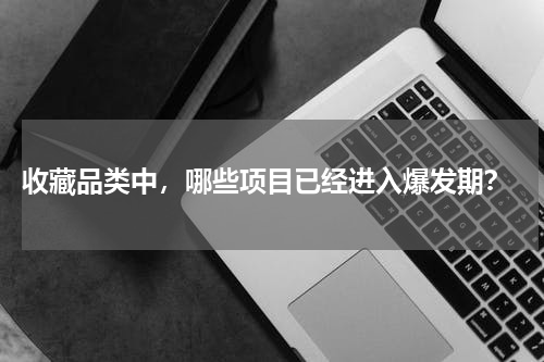  收藏品类中，哪些项目已经进入爆发期？
