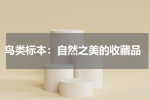  鸟类标本：自然之美的收藏品