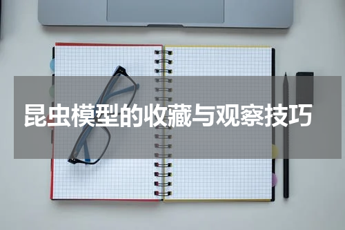  昆虫模型的收藏与观察技巧