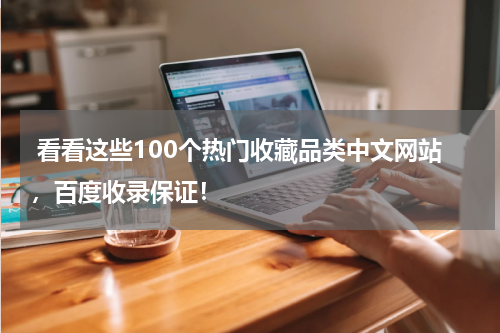  看看这些100个热门收藏品类中文网站，百度收录保证！