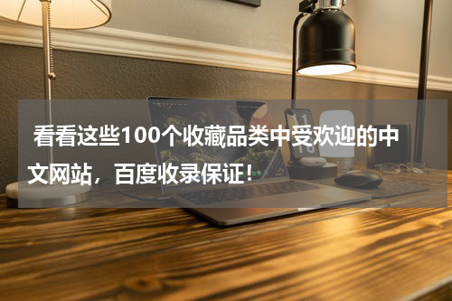  看看这些100个收藏品类中受欢迎的中文网站，百度收录保证！