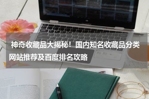  神奇收藏品大揭秘！国内知名收藏品分类网站推荐及百度排名攻略