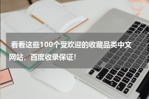  看看这些100个受欢迎的收藏品类中文网站，百度收录保证！