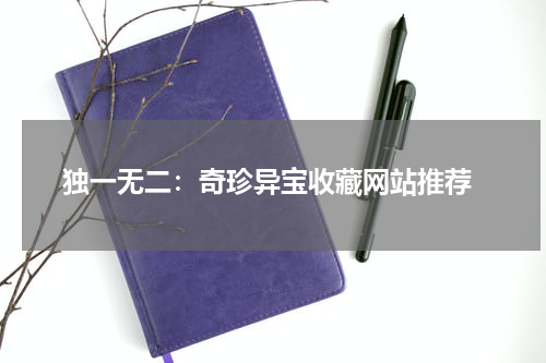  独一无二：奇珍异宝收藏网站推荐