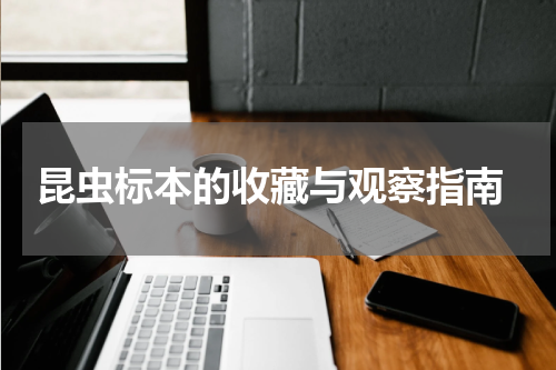  昆虫标本的收藏与观察指南